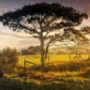 Meet your Posher, Katelynn